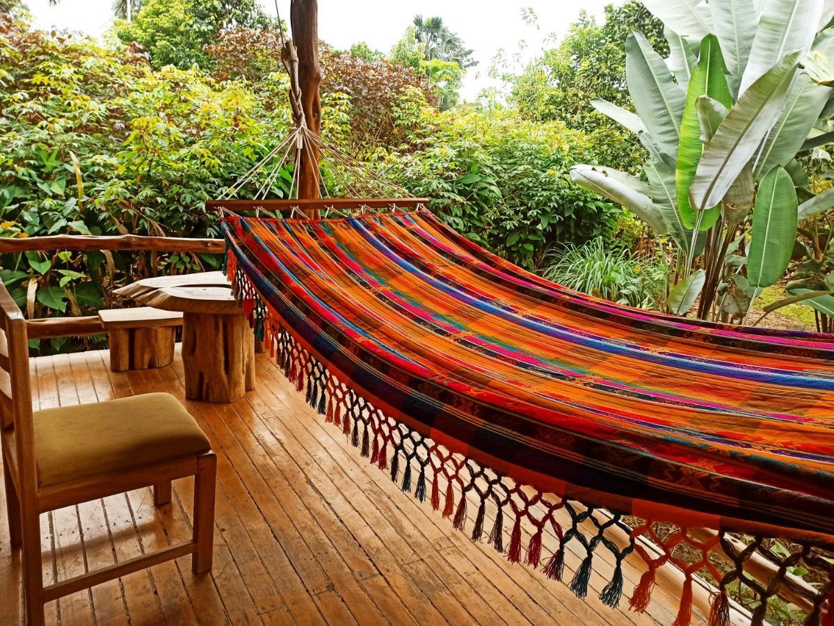Rio Napo Lodge Misahualli Exterior photo